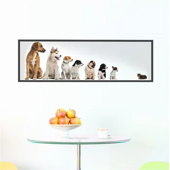 Smešno Psi, Mačke Pvc Photo Frame Wall Art Nalepke Za Office Home Dekoracijo Živali, Žive 3d Kuža Otroci Soba Ustvarjalne vinilna
